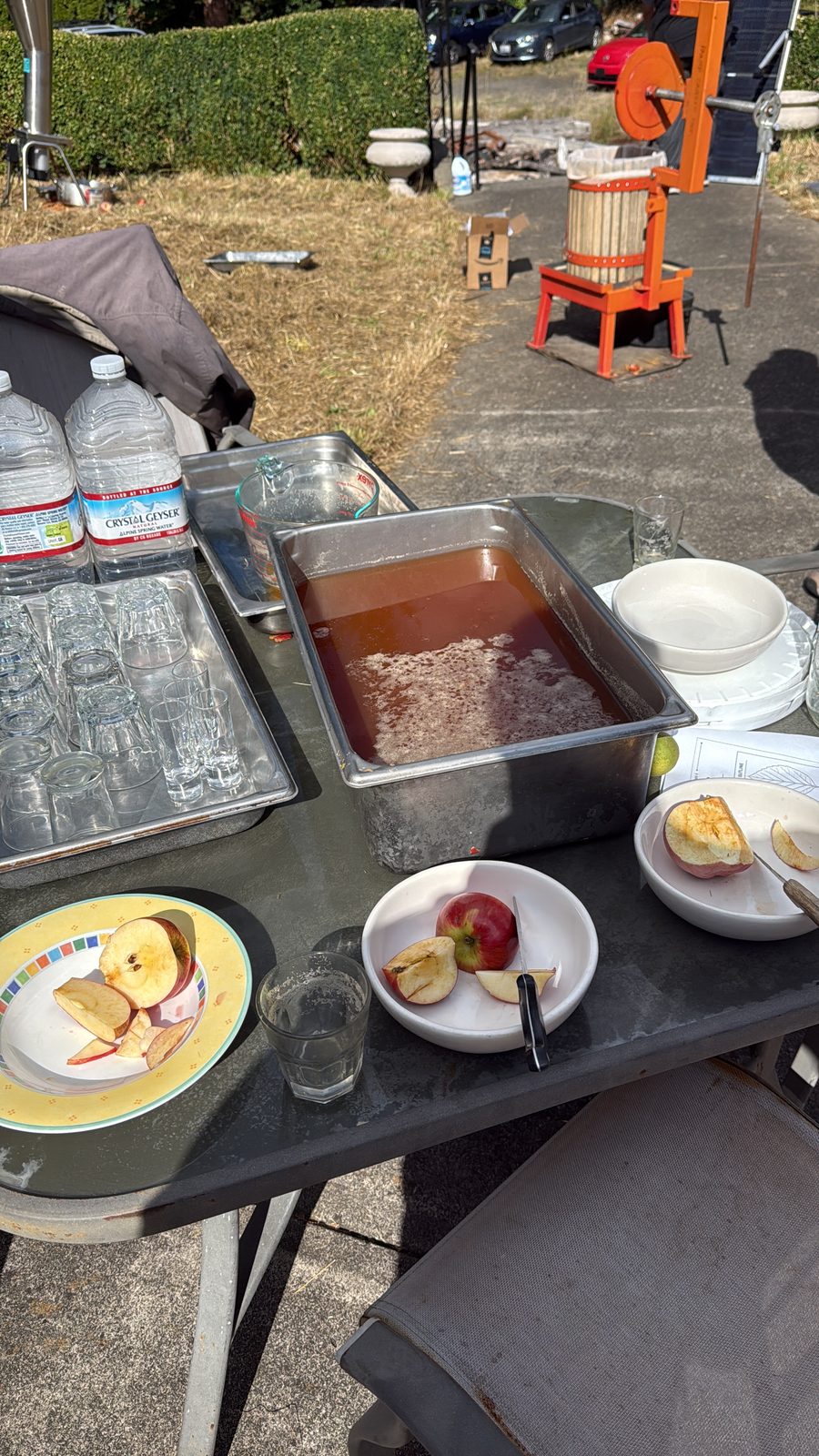 A steel catch pan full of cloudy, foamy amber apple juice sitting on a folding table next to plates of hand-sliced apples, water bottles, and a stack of empty tasting glasses, with an orange cider press visible in the background